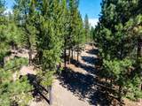 52081 White Fir - Photo 40