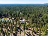 52081 White Fir - Photo 42