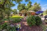 35429 Mccartie Lane - Photo 25