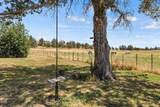 35429 Mccartie Lane - Photo 35