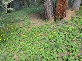 89138 Dog Lake - Photo 32