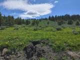 89138 Dog Lake - Photo 37