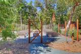 3806 Jumpoff Joe Creek Road - Photo 66