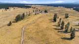 50475 Highway 31 - Photo 50