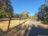 484 Shadow Hills Drive - Photo 65