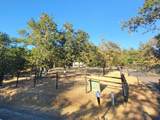 484 Shadow Hills Drive - Photo 70