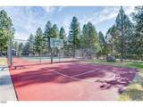 69130 Damsel Fly Court - Photo 16