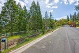  Terrace Street - Photo 6