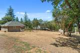 225 Andesite Drive - Photo 48