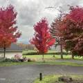 10999 Applegate Road - Photo 54