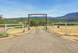 4001 Fork Little Butte Creek Road - Photo 12