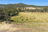 4001 Fork Little Butte Creek Road - Photo 79