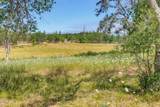4001 Fork Little Butte Creek Road - Photo 83