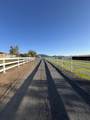 12140 Clovis Drive - Photo 3