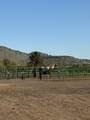 12140 Clovis Drive - Photo 48