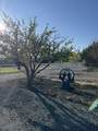 12140 Clovis Drive - Photo 6