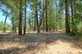 1820 Powell Creek Road - Photo 19