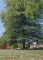 228 Mount Echo Drive - Photo 4