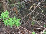 0 Piller Place - Photo 11