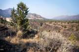 11330 Canyons Ranch Drive - Photo 10