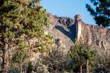 11330 Canyons Ranch Drive - Photo 14