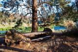 11330 Canyons Ranch Drive - Photo 20