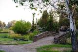11330 Canyons Ranch Drive - Photo 24