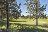 16863 Royal Coachman Drive - Photo 68