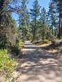 0 Oriole Drive - Photo 3