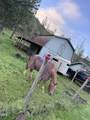 4400 Indian Creek Road - Photo 104