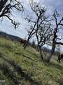4400 Indian Creek Road - Photo 105