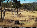 4400 Indian Creek Road - Photo 122