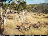 4400 Indian Creek Road - Photo 123