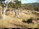4400 Indian Creek Road - Photo 124