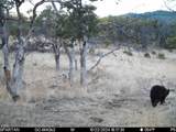 4400 Indian Creek Road - Photo 126