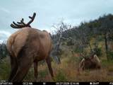 4400 Indian Creek Road - Photo 127