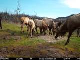 4400 Indian Creek Road - Photo 130