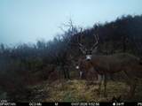4400 Indian Creek Road - Photo 131