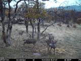 4400 Indian Creek Road - Photo 134