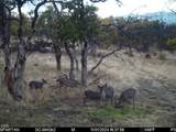 4400 Indian Creek Road - Photo 99