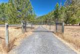 105 Dog Creek Road - Photo 2
