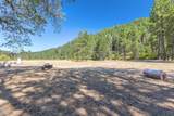 105 Dog Creek Road - Photo 32