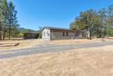 105 Dog Creek Road - Photo 39