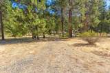 105 Dog Creek Road - Photo 42