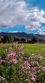 3745 Rogue River Highway - Photo 23