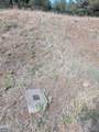 0 Kestrel - Photo 4