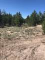 55165 Tamarack Road - Photo 2