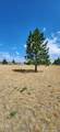 303 Despain Street - Photo 7