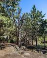 3732 Summerfield Road - Photo 61