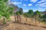 2657 Old Stage Road - Photo 46